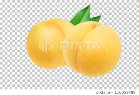 黄金桃 イラスト リアル セット 白バック 116059489