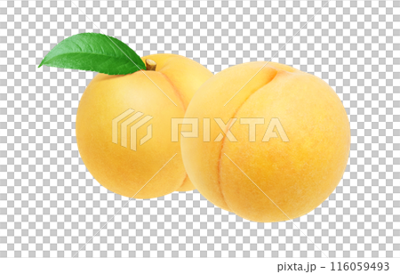 Golden peach illustration realistic set white background 116059493