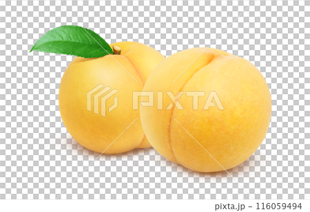 黄金桃 イラスト リアル セット 白バック 116059494