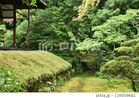 桂春院 真如の庭 桂春院 真如の庭 116059682