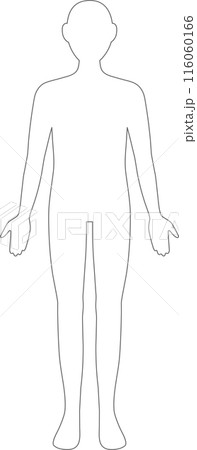 人体　全身　線画 116060166