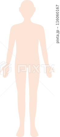 人体　全身　シルエット 116060167