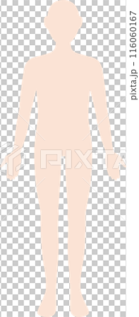 人体　全身　シルエット 116060167