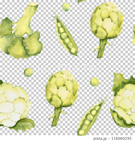 Green Vegetables Watercolor Seamless Pattern with Artichoke and Peas, Broccoli and Cauliflower on a white background. Can be used for kitchen textile prints, product packaging design. Green Vegetables Watercolor Seamless Pattern with Artichoke and Peas, Broccoli and Cauliflower on a white background. Can be used for kitchen textile prints, product packaging design. 116060295