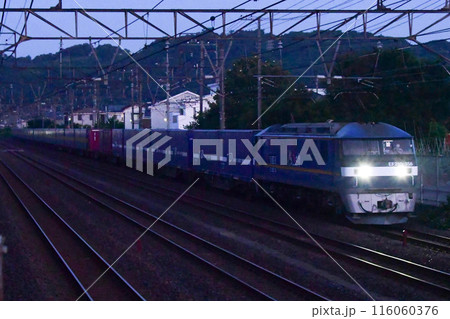 EF210-300牽引西濃運輸コンテナ列車　東海道貨物線 116060376