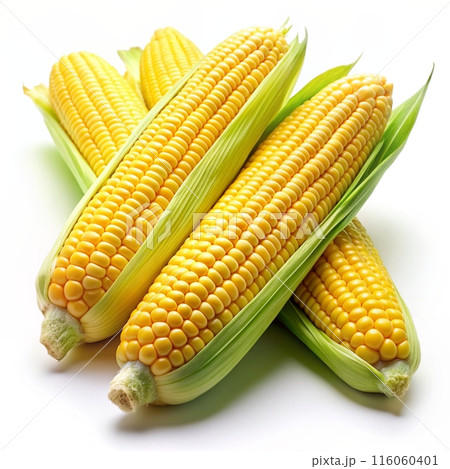 Fresh yellow corn isolated on white background. Ai generated Fresh yellow corn isolated on white background. Ai generated 116060401