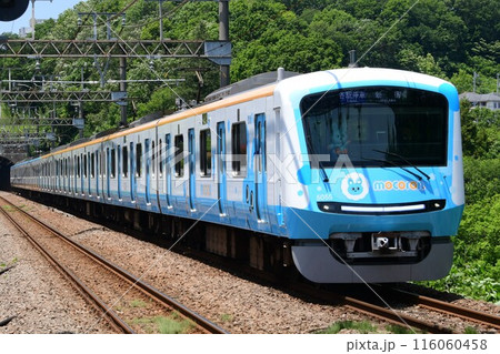 小田急5000形5055Fもころん号青 小田急5000形5055Fもころん号青 116060458