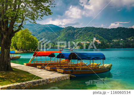 Anchored pletna boats on the lake Bled, Slovenia Anchored pletna boats on the lake Bled, Slovenia 116060534