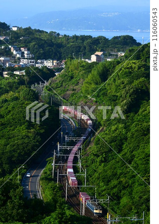 海を背景にS字カーブを走るEF65PF牽引コンテナ列車 海を背景にS字カーブを走るEF65PF牽引コンテナ列車 116060543