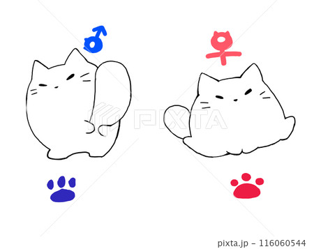 男女ねこ 男女ねこ 116060544