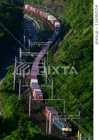 S字カーブをゆくEF65PF牽引コンテナ列車 116060554