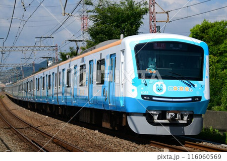 小田急5000形2代目　5055F　もころん号　青側 116060569