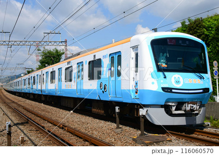 小田急5000形2代目 5055F もころん号 青側 小田急5000形2代目 5055F もころん号 青側 116060570
