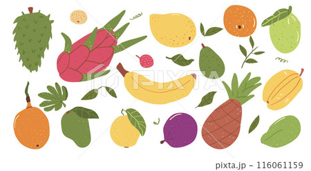 Tropical fruits isolated on white background. Vector hand drawn flat collection illustration. 116061159