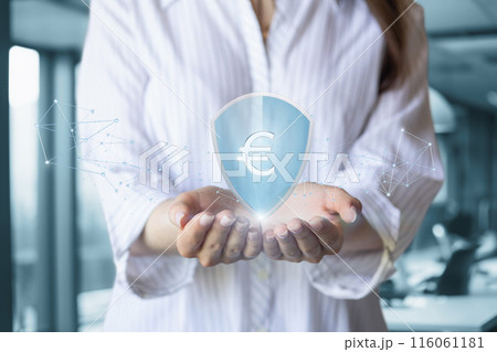 Concept of guarantees and protection of finances in euro. 116061181