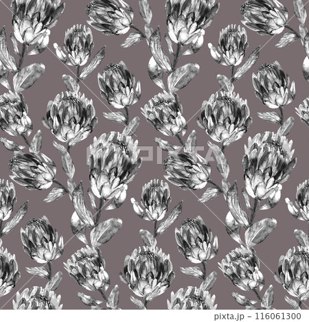Seamless monochrome watercolor pattern with vertical protea flowers  116061300
