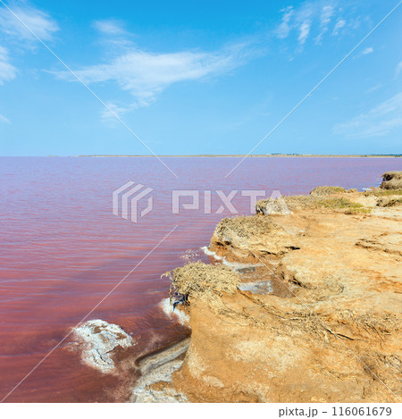 Pink salty Syvash Lake, Ukraine Pink salty Syvash Lake, Ukraine 116061679