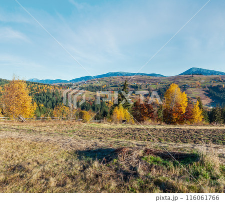 Autumn Carpathian village, Ukraine. Autumn Carpathian village, Ukraine. 116061766
