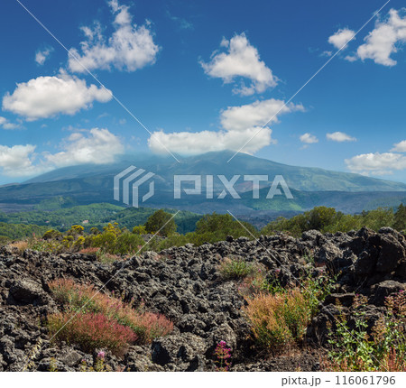 Etna volcano view, Sicily, Italy 116061796