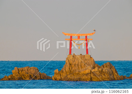 沖の鳥居と海(大分県杵築市奈多海岸) 沖の鳥居と海(大分県杵築市奈多海岸) 116062165