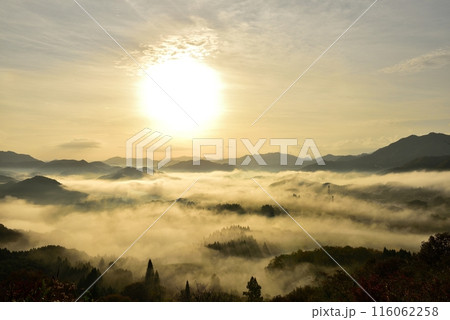 宝山公園展望台からの夜久野高原の雲海 116062258