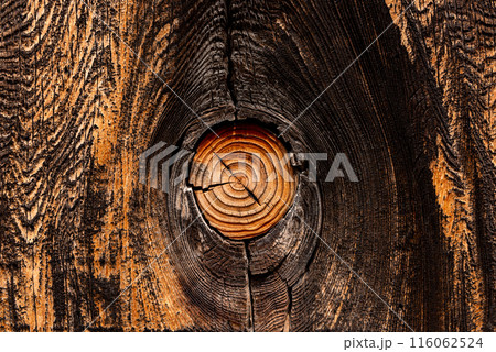 Wood knot with natural pattern Wood knot with natural pattern 116062524