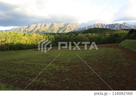 ゴツゴツとした岩肌の戸隠連峰の初夏 116062560