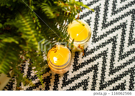 Cozy indoor ambiance with ferns, candles, and a patterned rug for chic home decor 116062566