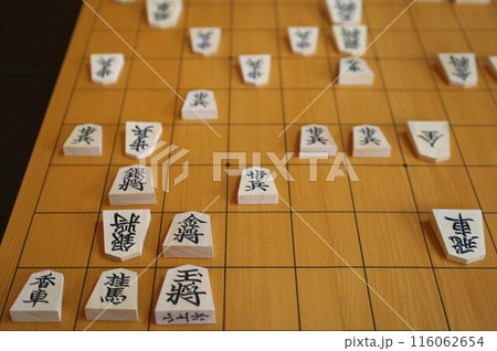 将棋（第95期棋聖戦第1局投了棋譜） 116062654