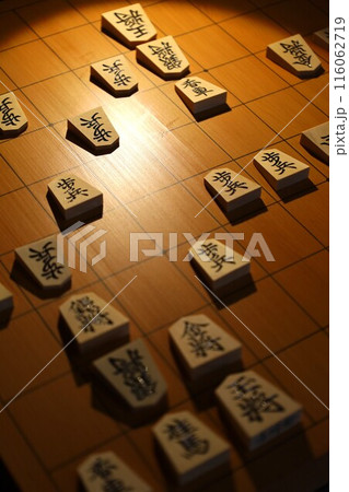 将棋の第95期棋聖戦第1局の投了棋譜 将棋の第95期棋聖戦第1局の投了棋譜 116062719