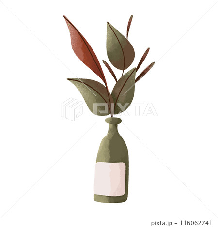 eucalyptus oil bottle with olive oil 116062741