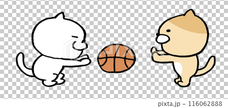 打籃球的可愛貓咪人物插畫 116062888