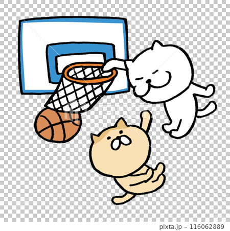 Character illustration of a cute cat playing basketball 116062889