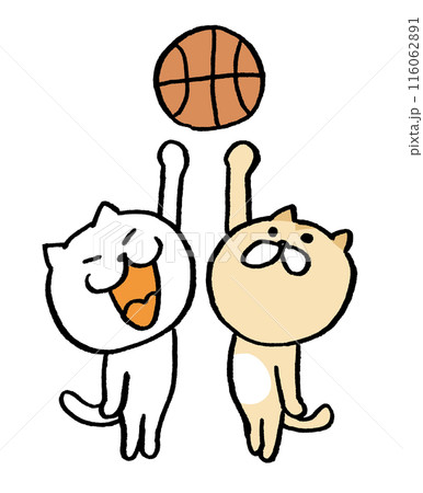バスケットボールをするかわいい猫のキャライラスト 116062891