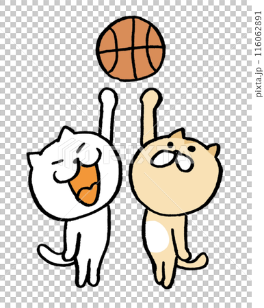 打籃球的可愛貓咪人物插畫 116062891
