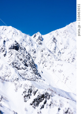 長野県白馬村　北アルプスの小遠見山　雪山登山　小遠見山の山頂から見る大黒岳 116063031