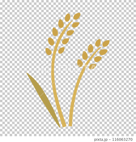 麦のシンプルなシルエットのイラスト 116063270