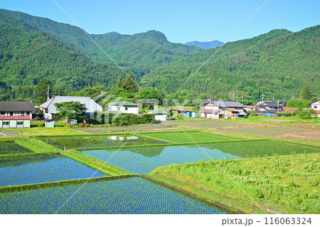 緑に映える農村風景　国道17号　街道沿い　 116063324