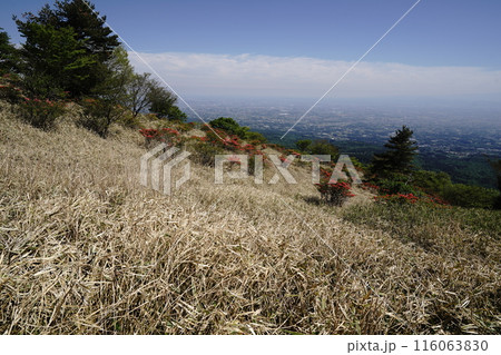 赤城山の鍋割山 鍋割山の南斜面にある鍋割高原から南方面を見る 2024年5月14日 赤城山の鍋割山 鍋割山の南斜面にある鍋割高原から南方面を見る 2024年5月14日 116063830