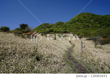 赤城山の鍋割山 鍋割山の南斜面にある鍋割高原から鍋割山方面を見る 2024年5月14日 赤城山の鍋割山 鍋割山の南斜面にある鍋割高原から鍋割山方面を見る 2024年5月14日 116063831