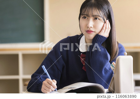 教室で授業を受ける女子高生 教室で授業を受ける女子高生 116063890