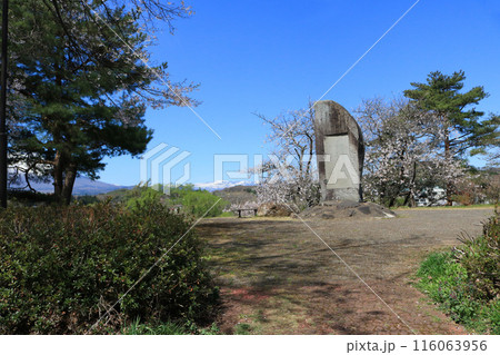 桜の季節の渋民公園 桜の季節の渋民公園 116063956
