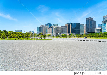 【東京都】自然が広がる皇居外苑と丸の内のビル群 【東京都】自然が広がる皇居外苑と丸の内のビル群 116064009