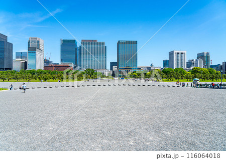 【東京都】自然が広がる皇居外苑と丸の内のビル群 116064018