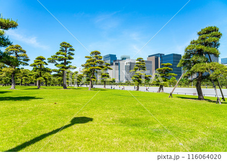 【東京都】自然が広がる皇居外苑と丸の内のビル群 【東京都】自然が広がる皇居外苑と丸の内のビル群 116064020