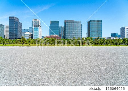 【東京都】自然が広がる皇居外苑と丸の内のビル群 116064026