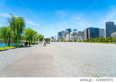 【東京都】自然が広がる皇居外苑と丸の内のビル群 【東京都】自然が広がる皇居外苑と丸の内のビル群 116064055
