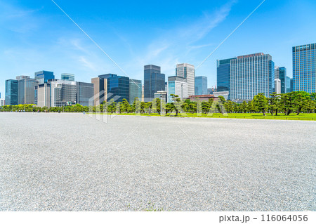 【東京都】自然が広がる皇居外苑と丸の内のビル群 【東京都】自然が広がる皇居外苑と丸の内のビル群 116064056