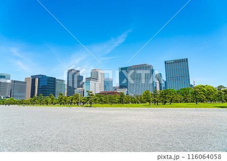 【東京都】自然が広がる皇居外苑と丸の内のビル群 【東京都】自然が広がる皇居外苑と丸の内のビル群 116064058