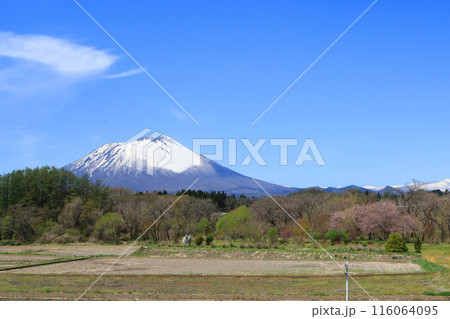 渋民公園から望む岩手山 渋民公園から望む岩手山 116064095